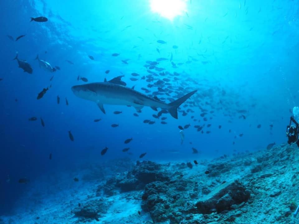 Endhaa, Divers Home Fuvahmulah Luaran gambar